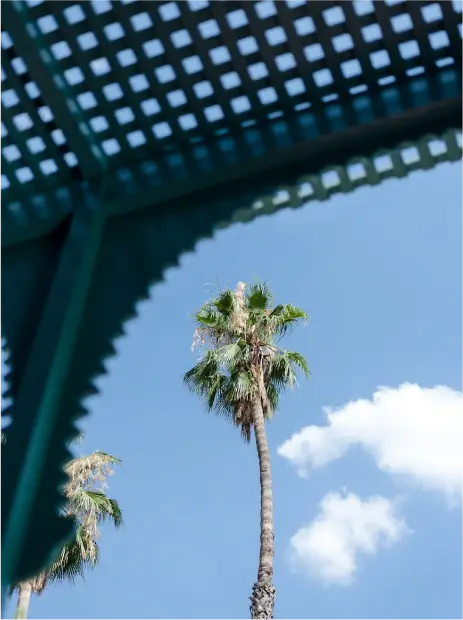 Architecture Majorelle